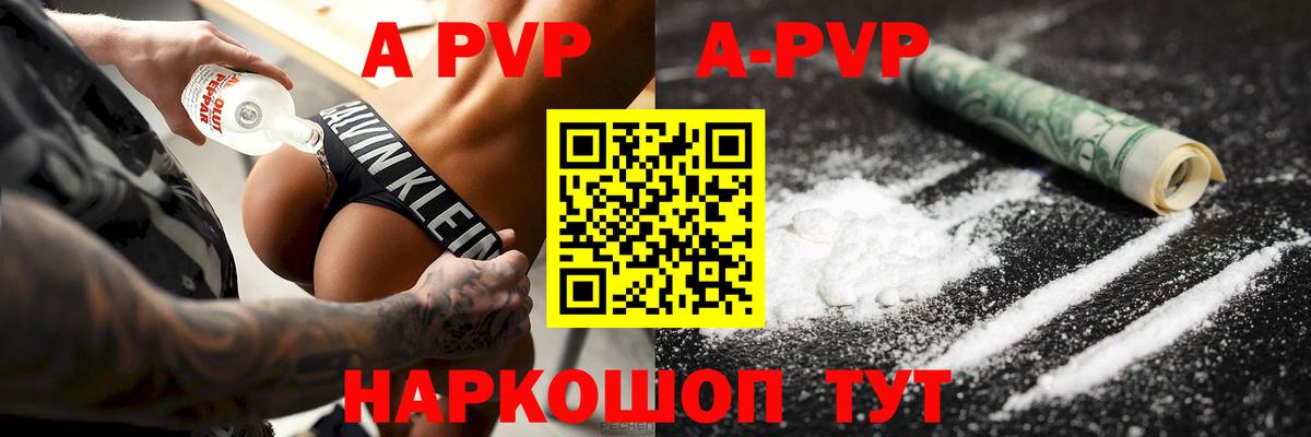 A-PVP СК КРИС Новоалтайск