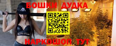 МДПВ Дубна