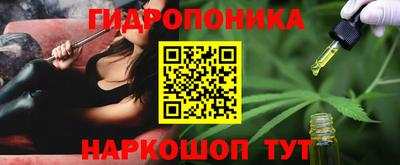 МДПВ Дубна