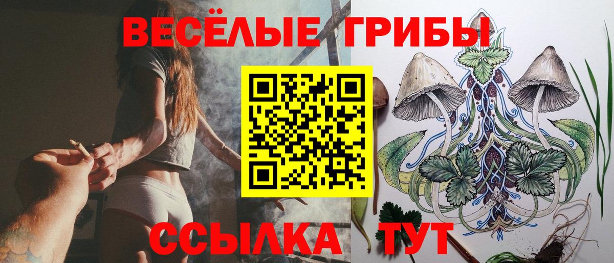 Псилоцибиновые грибы ЛСД Новоалтайск